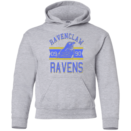 Sweatshirts Sport Grey / YS Ravens Youth Hoodie
