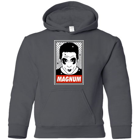 Sweatshirts Charcoal / YS Ridiculously good looking Youth Hoodie