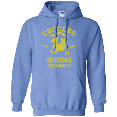 Sweatshirts Carolina Blue / Small Riding Academy Pullover Hoodie