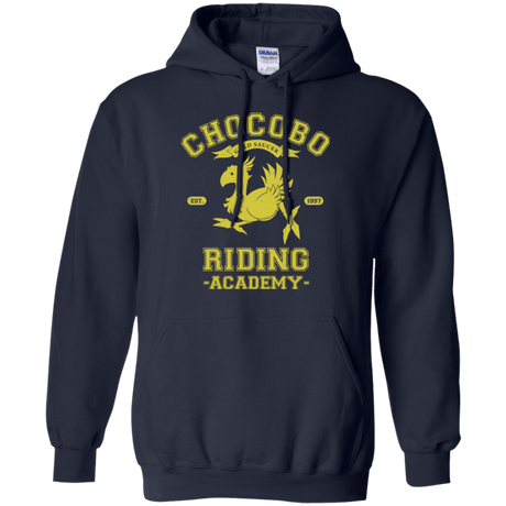 Sweatshirts Navy / Small Riding Academy Pullover Hoodie