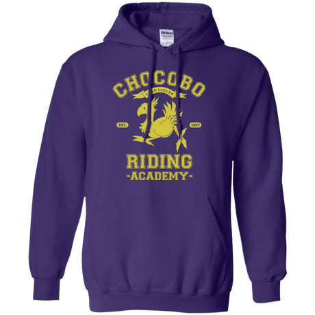 Sweatshirts Purple / Small Riding Academy Pullover Hoodie