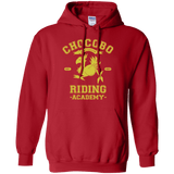 Sweatshirts Red / Small Riding Academy Pullover Hoodie