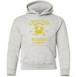 Sweatshirts Ash / YS Riding Academy Youth Hoodie