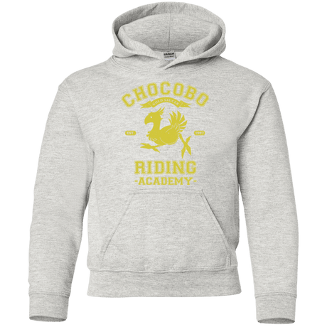 Sweatshirts Ash / YS Riding Academy Youth Hoodie