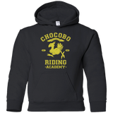 Sweatshirts Black / YS Riding Academy Youth Hoodie