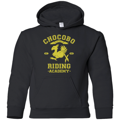 Sweatshirts Black / YS Riding Academy Youth Hoodie