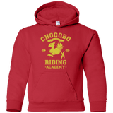 Sweatshirts Red / YS Riding Academy Youth Hoodie