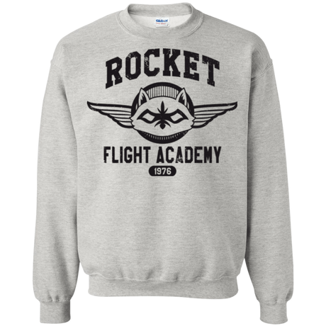 Sweatshirts Ash / Small Rocket Flight Academy Crewneck Sweatshirt