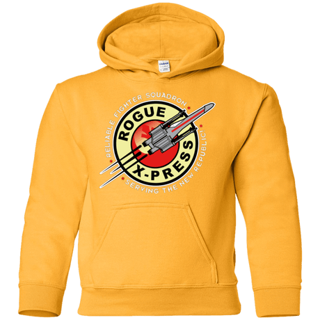 Sweatshirts Gold / YS Rogue X-Press Youth Hoodie