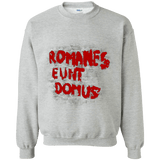 Sweatshirts Sport Grey / Small Romanes eunt Crewneck Sweatshirt