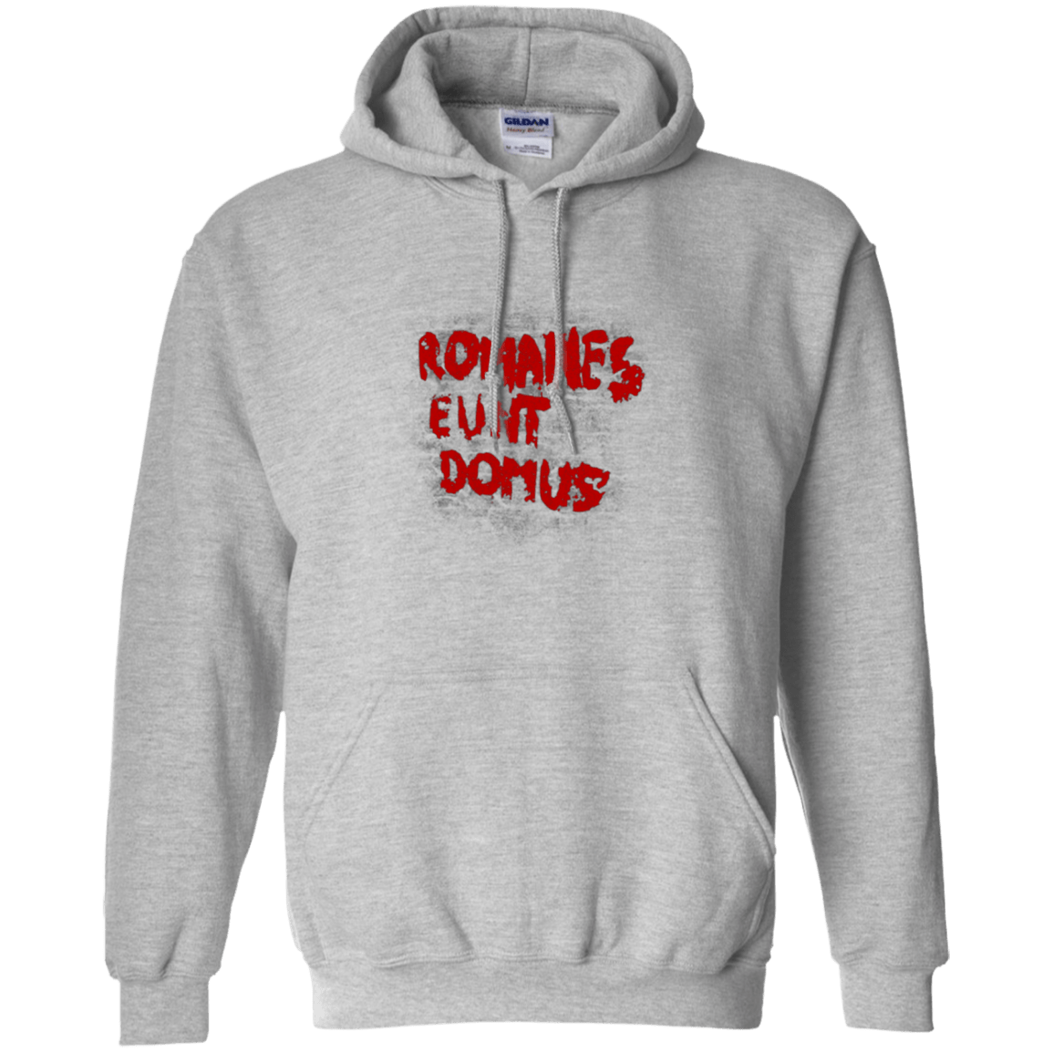 Sweatshirts Sport Grey / Small Romanes eunt Pullover Hoodie