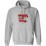 Sweatshirts Sport Grey / Small Romanes eunt Pullover Hoodie