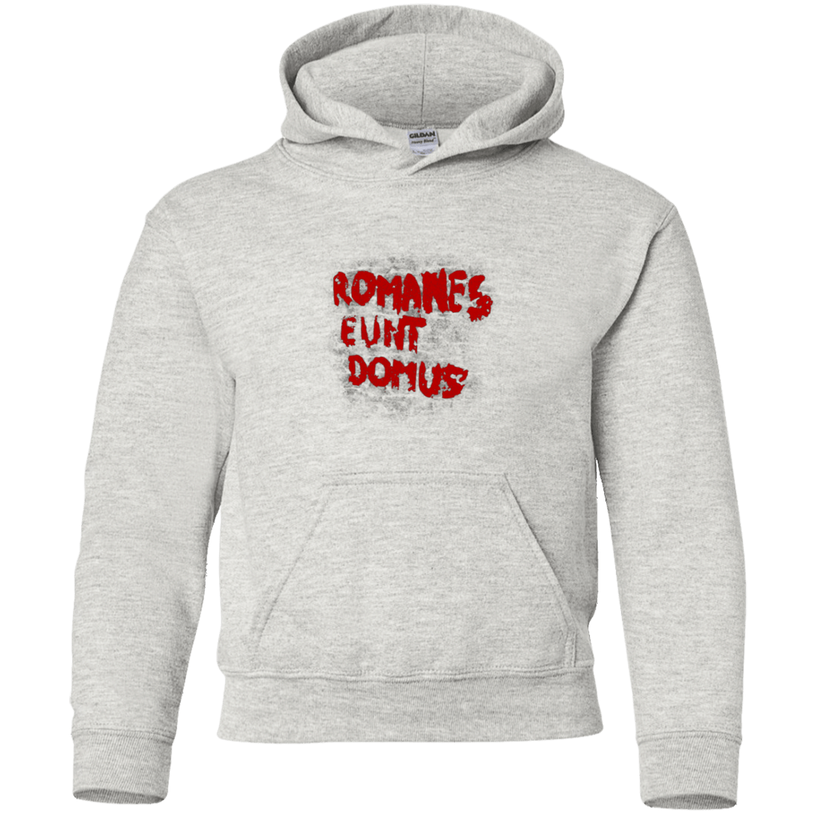 Sweatshirts Ash / YS Romanes eunt Youth Hoodie