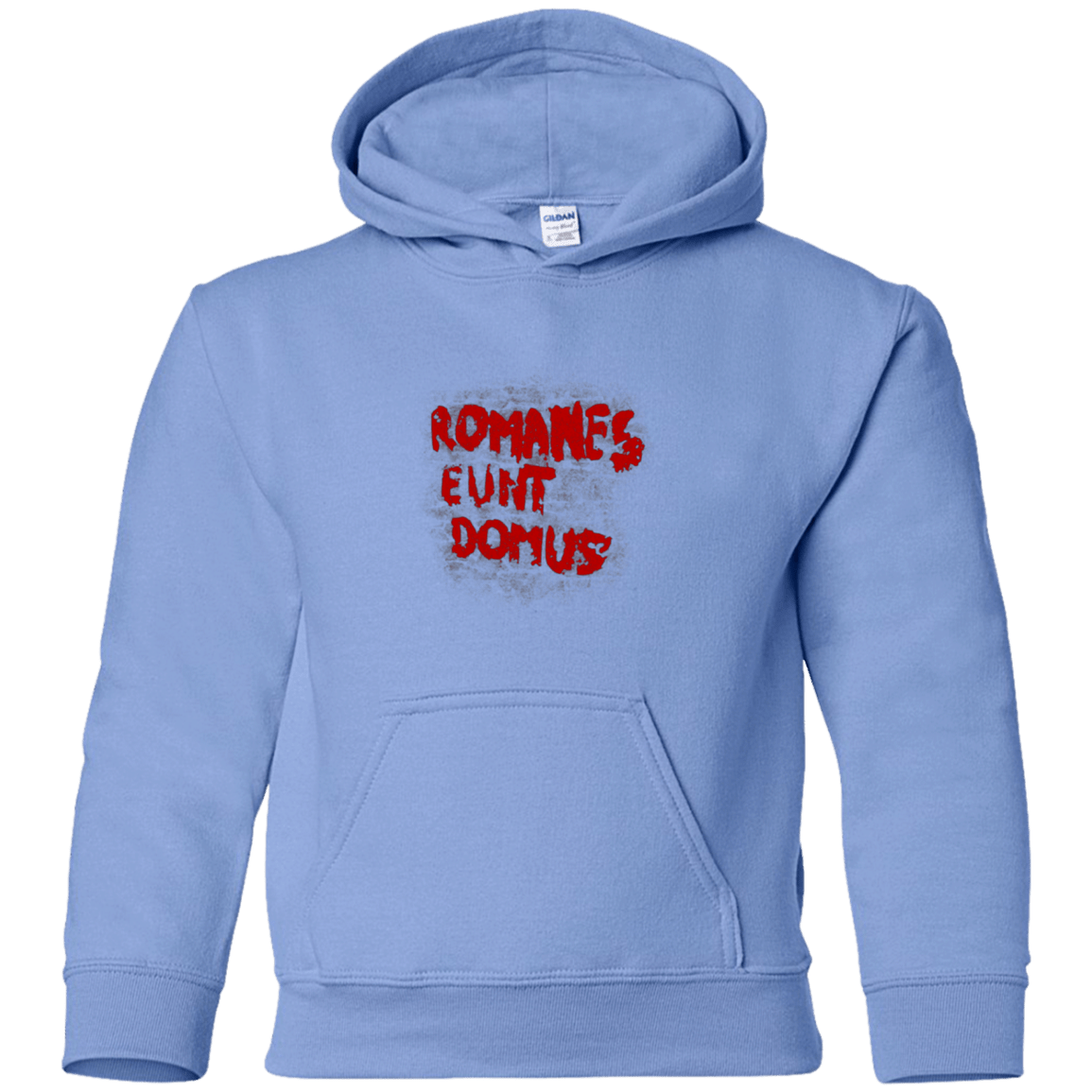 Romanes eunt Youth Hoodie