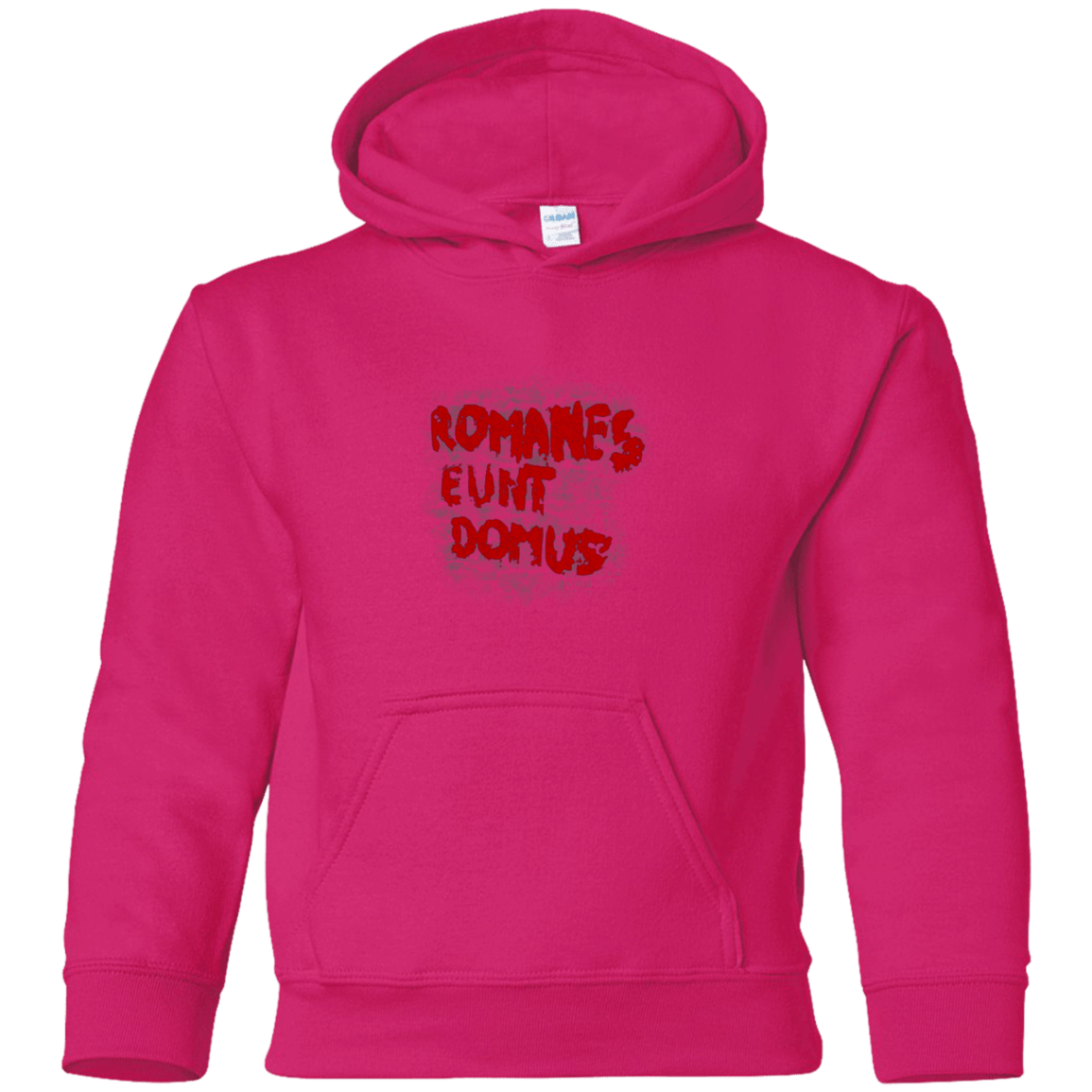 Sweatshirts Heliconia / YS Romanes eunt Youth Hoodie