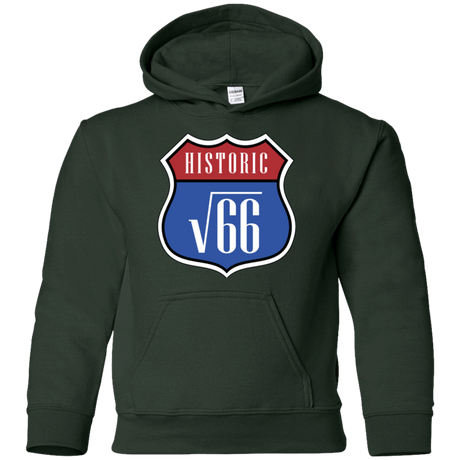 Sweatshirts Forest Green / YS Route v66 Youth Hoodie