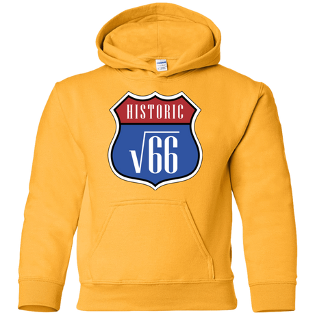 Sweatshirts Gold / YS Route v66 Youth Hoodie