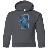 Sweatshirts Charcoal / YS RUBY BLUEPRINT Youth Hoodie