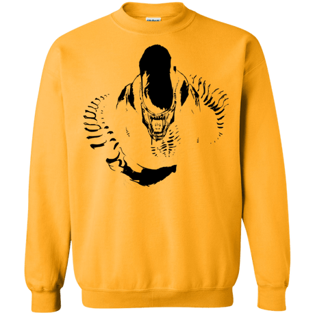 Sweatshirts Gold / S Run Crewneck Sweatshirt