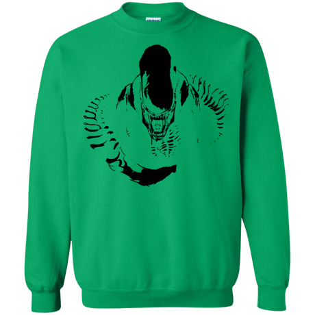 Sweatshirts Irish Green / S Run Crewneck Sweatshirt