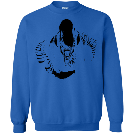 Sweatshirts Royal / S Run Crewneck Sweatshirt