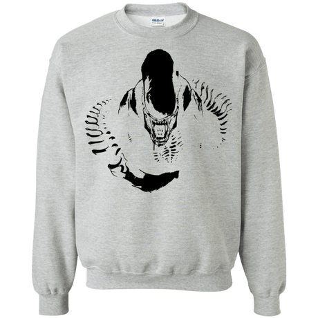 Sweatshirts Sport Grey / S Run Crewneck Sweatshirt