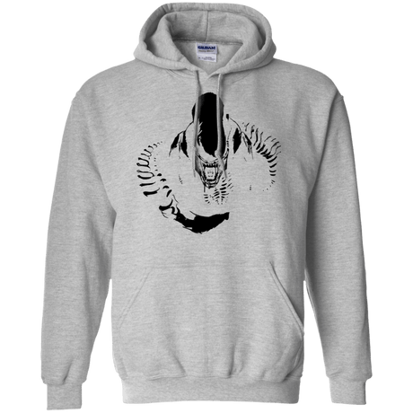 Sweatshirts Sport Grey / S Run Pullover Hoodie