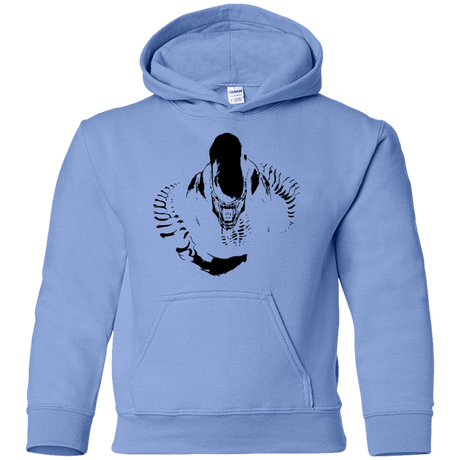 Sweatshirts Carolina Blue / YS Run Youth Hoodie