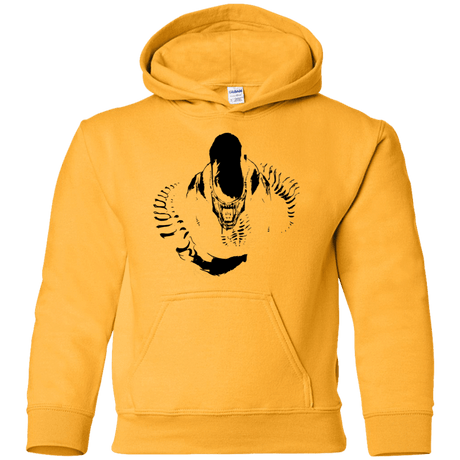 Sweatshirts Gold / YS Run Youth Hoodie
