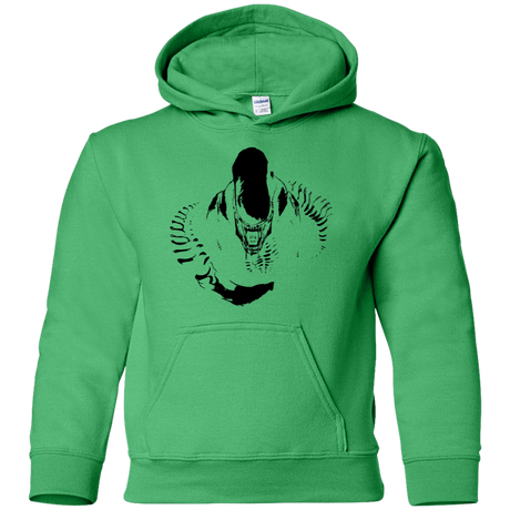 Sweatshirts Irish Green / YS Run Youth Hoodie