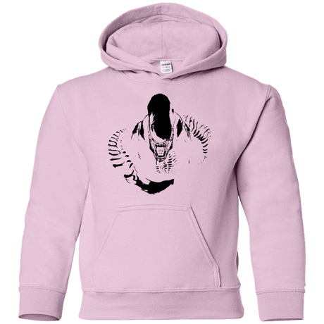 Sweatshirts Light Pink / YS Run Youth Hoodie