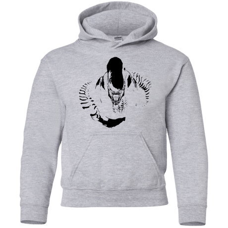 Sweatshirts Sport Grey / YS Run Youth Hoodie