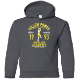 Sweatshirts Charcoal / YS Sabertooth Ranger Youth Hoodie