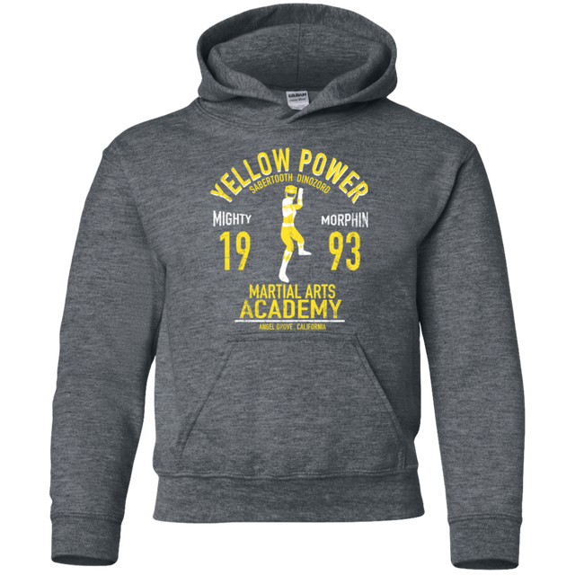 Sweatshirts Dark Heather / YS Sabertooth Ranger Youth Hoodie