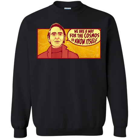 Sweatshirts Black / S SAGAN Cosmos Crewneck Sweatshirt