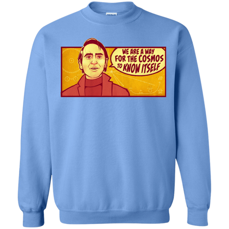 Sweatshirts Carolina Blue / S SAGAN Cosmos Crewneck Sweatshirt