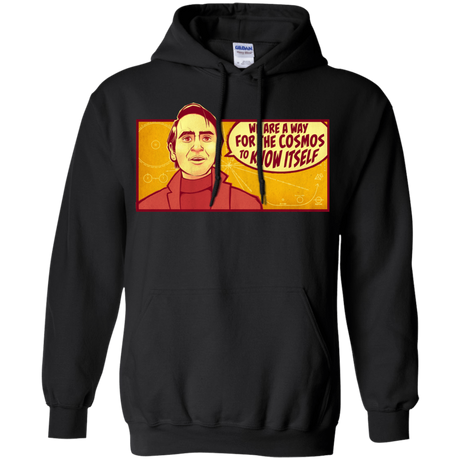 Sweatshirts Black / S SAGAN Cosmos Hoodie