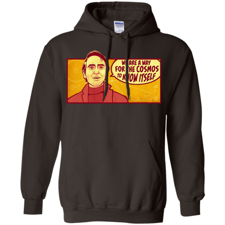 Sweatshirts Dark Chocolate / S SAGAN Cosmos Hoodie
