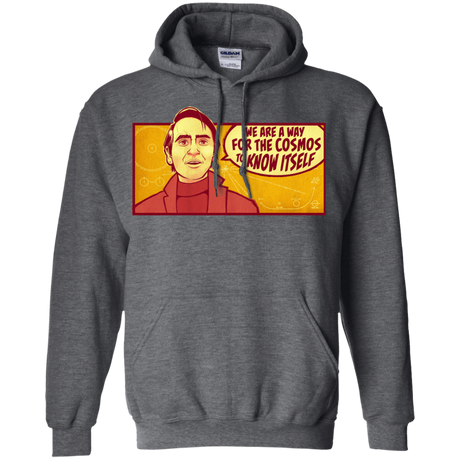 Sweatshirts Dark Heather / S SAGAN Cosmos Hoodie