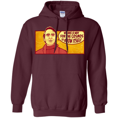 Sweatshirts Maroon / S SAGAN Cosmos Hoodie