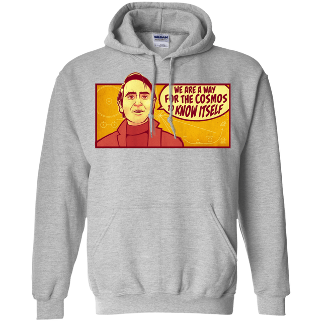 Sweatshirts Sport Grey / S SAGAN Cosmos Hoodie