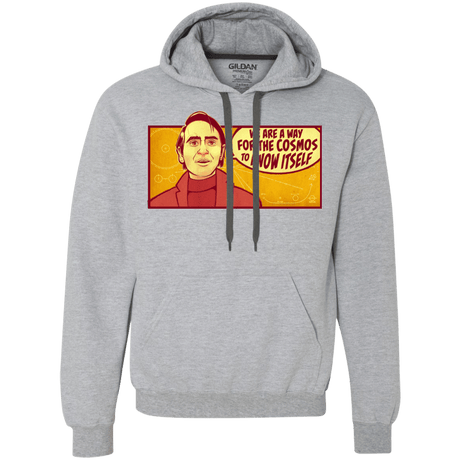 Sweatshirts Sport Grey / S SAGAN Cosmos Premium Fleece Hoodie