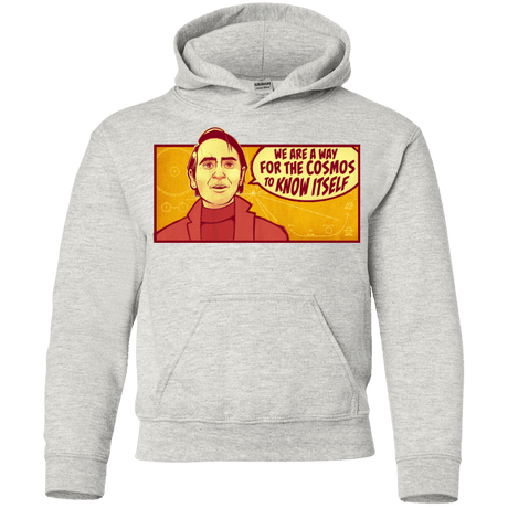 Sweatshirts Ash / YS SAGAN Cosmos Youth Hoodie