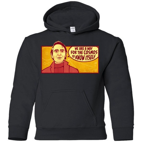 Sweatshirts Black / YS SAGAN Cosmos Youth Hoodie