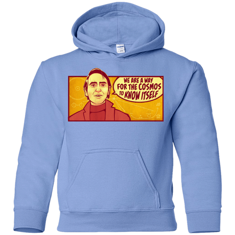 Sweatshirts Carolina Blue / YS SAGAN Cosmos Youth Hoodie