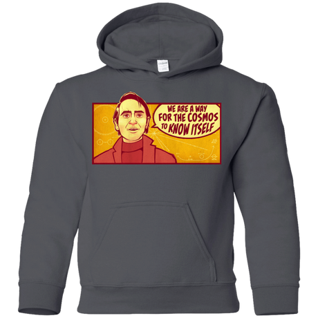 Sweatshirts Charcoal / YS SAGAN Cosmos Youth Hoodie