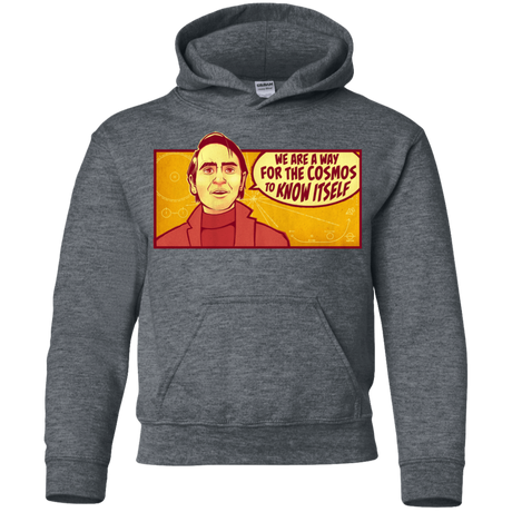 Sweatshirts Dark Heather / YS SAGAN Cosmos Youth Hoodie