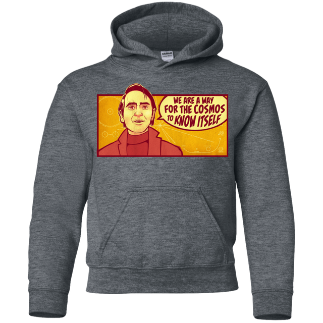 Sweatshirts Dark Heather / YS SAGAN Cosmos Youth Hoodie