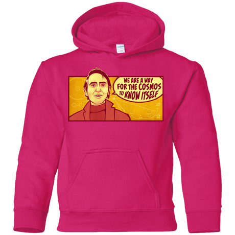 Sweatshirts Heliconia / YS SAGAN Cosmos Youth Hoodie