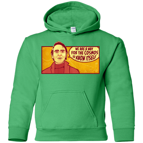 Sweatshirts Irish Green / YS SAGAN Cosmos Youth Hoodie